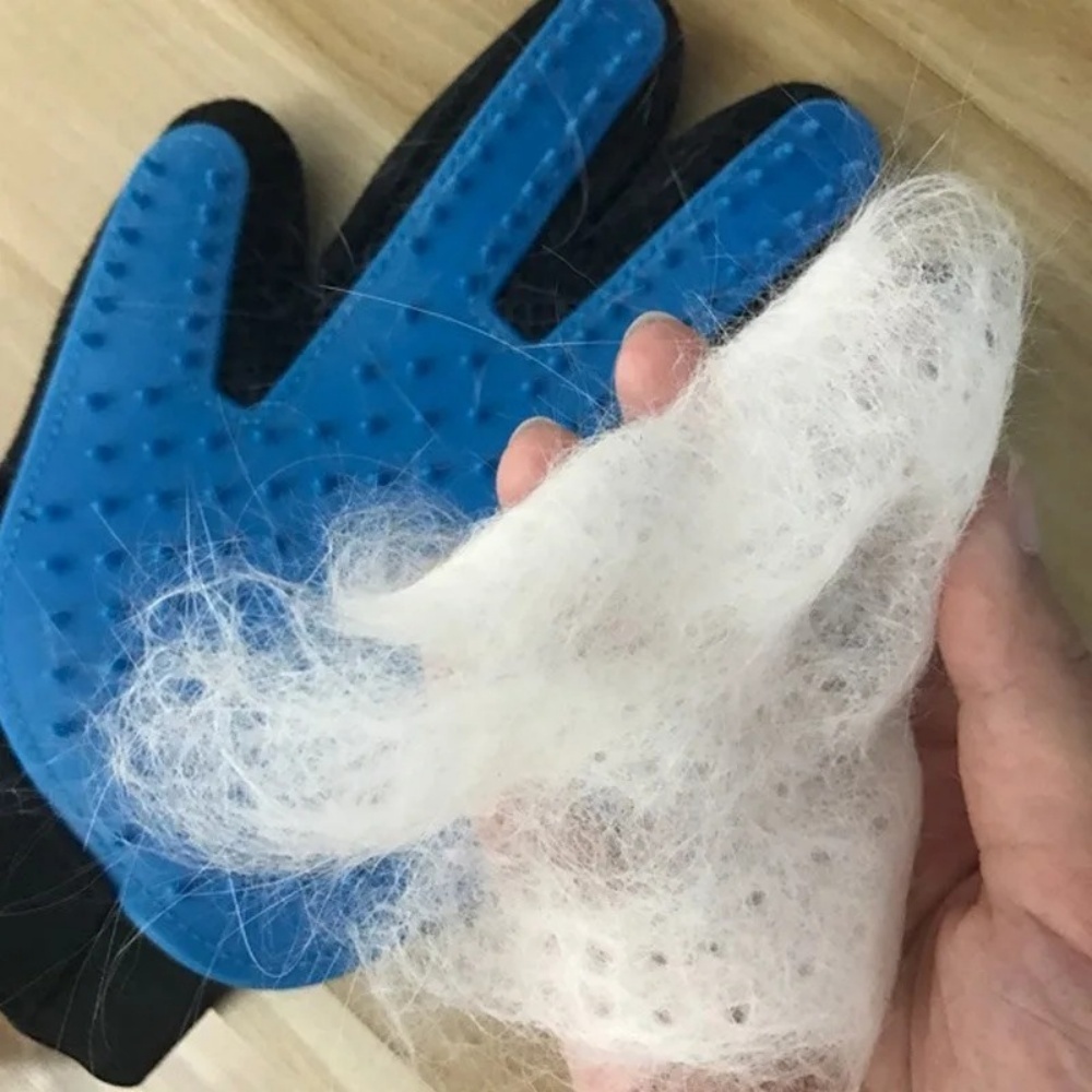 Gato de estimação cão aliciame - Rubber Glove Cleaning avaliação e preço